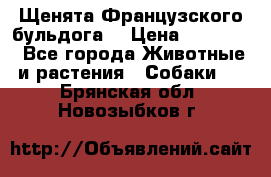 Щенята Французского бульдога. › Цена ­ 45 000 - Все города Животные и растения » Собаки   . Брянская обл.,Новозыбков г.